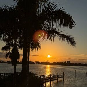 Meet your Posher, Alina